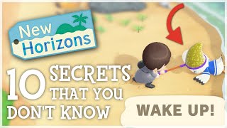 10 SECRETS You STILL Dont Know ACNH Hidden Details  Animal Crossing New Horizons [upl. by Anel]