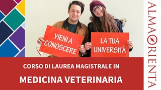 Laurea Magistrale a Ciclo Unico in Medicina veterinaria [upl. by Kowal]