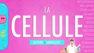 LA CELLULE  INTRODUCTION Partie 1 [upl. by Donelson]