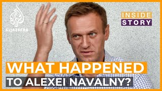 What happened to Alexei Navalny  Inside Story [upl. by Hulburt]