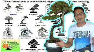 The different Styles of Bonsai Explained Beginners Guide [upl. by Adias]