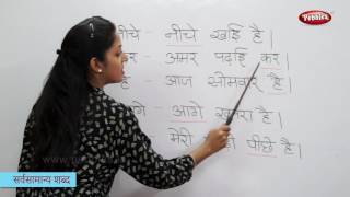 Reading Basic Hindi Words Sentences  हिन्दी शब्द  Sight Words in Hindi  Hindi Phonics [upl. by Atiuqaj]