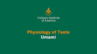 Physiology of Taste Umami [upl. by Aggappora]