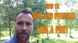 How to Plant Grass Seed and Overseed like a PRO [upl. by Jelene969]