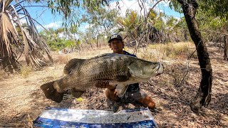 BARRAMUNDI FISHING AUSTRALIA FAR NORTH QLD COMPETITION [upl. by Ylim]