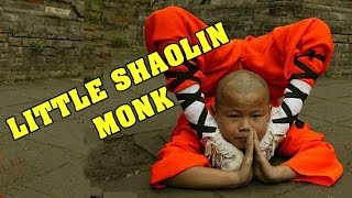 Wu Tang Collection  Little Shaolin Monk [upl. by Eetsirhc887]