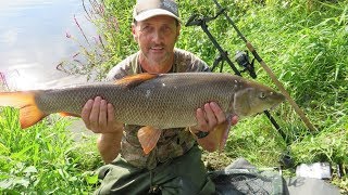 BIG BARBEL FISHING ON THE RIVER TRENT AT FISKERTON  VIDEO 58 [upl. by Aleemaj]