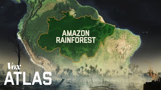 The destruction of the Amazon explained [upl. by Mayhs427]