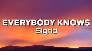 Sigrid  Everybody Knows Lyrics [upl. by Fairfield]