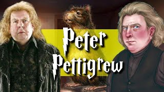 The Entire Life Of Peter Pettigrew Harry Potter Explained [upl. by Barbette946]