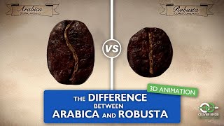 The differences between Arabica and Robusta coffee [upl. by Eceinert]