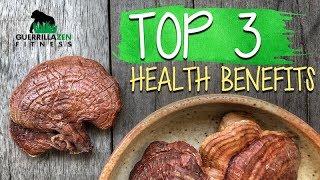 TOP 3 Health Benefits of Reishi Mushroom [upl. by Epillihp688]