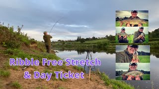 Barbel Fishing River Ribble Free Stretch and Day Ticket [upl. by Ylsel]