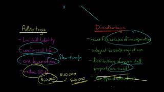 S Corporations  Advantages and Disadvantages [upl. by Dulcea]