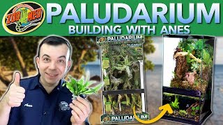 Zoo Med Paludarium Habitat Build w Anes Hotic [upl. by Crofton630]