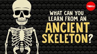 What can you learn from ancient skeletons  Farnaz Khatibi [upl. by Nywg]