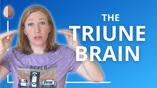 The Triune Brain [upl. by Nor]