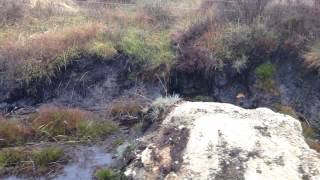 Source of the River Derwent North Yorkshire [upl. by Alexi]