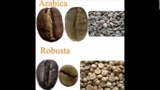 Coffee Truth  Arabica vs Robusta [upl. by Teloiv]