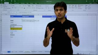 MS Excel  Formatting [upl. by Nealy593]
