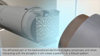 Electron Backscatter Diffraction Explained QUANTAX EBSD [upl. by Nevin]