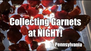 Collecting Garnet GEMS at NIGHT in Delaware County Pennsylvania [upl. by Halyak]