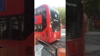 Bus spotting at Walthamstow Central Bus Station part 2 [upl. by Cheatham]