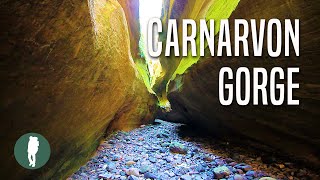 Carnarvon Gorge  Queensland  Australia Nature  Beautiful Landscapes [upl. by Bennink]