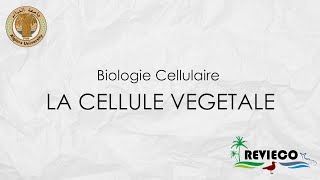 La Cellule Végétale TP°3 [upl. by Sallyann436]