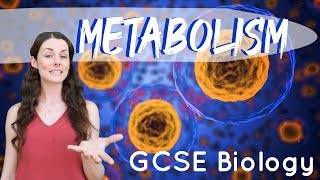 Metabolism  GCSE Biology [upl. by Gregoor99]