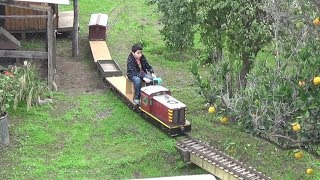 Tren de jardín  parte 2 [upl. by Calv]