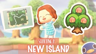 STARTING A NEW ISLAND 🏝 Day 1  Animal Crossing New Horizons [upl. by Annaiuq]