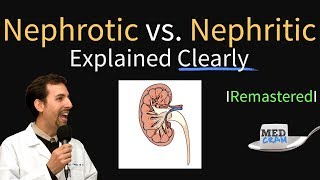 Nephrotic vs Nephritic Syndrome Proteinuria Hematuria Casts [upl. by Nomrah375]