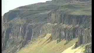 Trees of Stone  Ginkgo Petrified Forest State Park  Part 2 of 3 [upl. by Metabel]