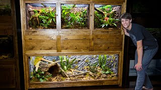 Easy DIY Plywood Reptile Enclosures [upl. by Kcirb]