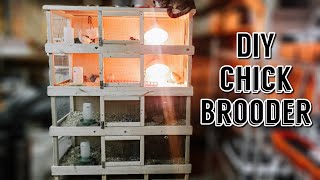 DIY Chick Brooder  Multiple Level Chick Brooder  Chick Brooder Design [upl. by Fiore381]