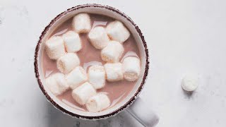 How to Make Hot Cocoa  Rich Chocolatey and Homemade [upl. by Perla]