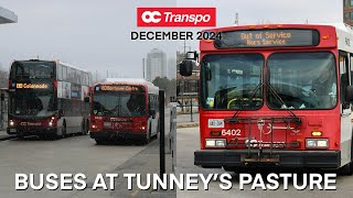 OC Transpo Buses at Tunney’s Pasture  December 2024 [upl. by Sibell]