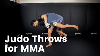 3 BEST Judo Throws for MMA 1 Bonus [upl. by Emee]