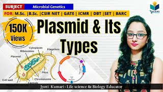 PLASMID  TYPE OF PLASMIDS  CSIR NET GATE  MSc  BSc Microbial genetics [upl. by Jessamine574]