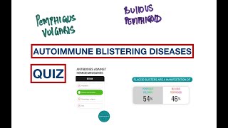 Blisters Pemphigus Vulgaris vs Bullous Pemphigoid  USMLE  MCQs [upl. by Cayser]