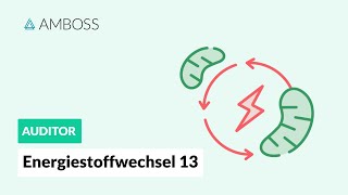 Energiestoffwechsel Teil 13 mit Molekülstrukturen  Fettsäuresynthese  AMBOSS Auditor [upl. by Annwahs]