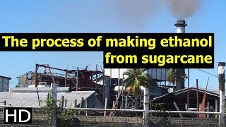 The process of making ethanol from sugarcane [upl. by Yelsa313]