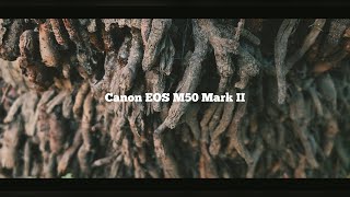 Canon M50 Mark ii Cinematic Video Test [upl. by Annaya]