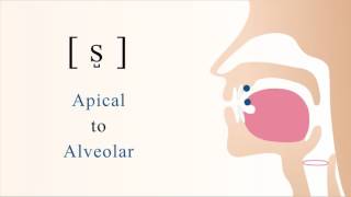 s̺  s  unvoiced apical alveolar sibilant fricative [upl. by Nirred50]