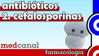 Cefalosporinas  ANTIBIOTICOTERAPIA Vídeo 2 [upl. by Nnaeerb182]