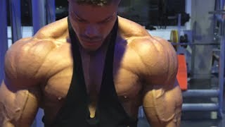 DELTOID Workout for BIG FULL Shoulders  Wes amp Wes [upl. by Nwahsyd]