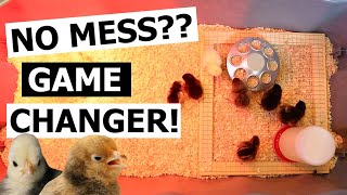 Watch This BEFORE Raising Baby Chicks  NO MESS CHICK BROODER HACK [upl. by Brader]