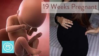 30 Weeks Pregnant What You Need To Know  Channel Mum [upl. by Elvina634]