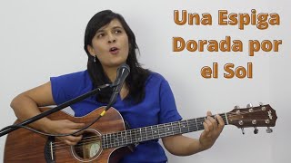 Una espiga dorada por el sol  Acordes y letra  CANTO PARA MISA [upl. by Fulcher]